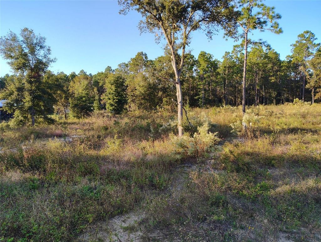 Photo of Dunnellon, FL 34432 (MLS # S5114463)