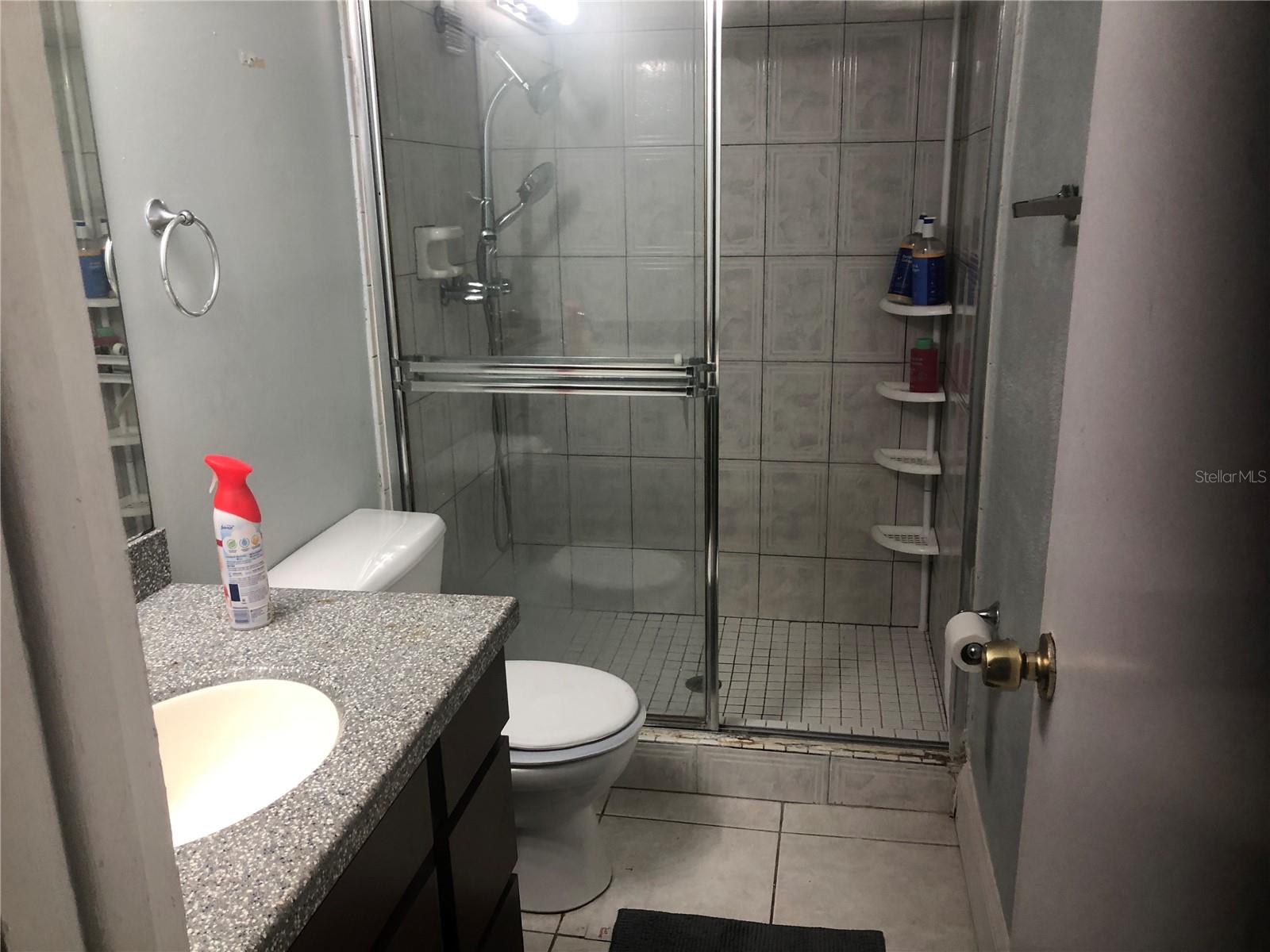 SOMERSET PARK A CONDO - Residential Lease