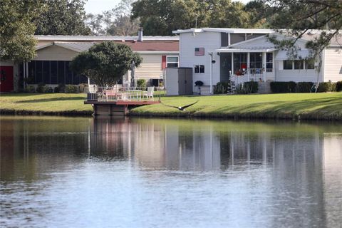 A home in POLK CITY