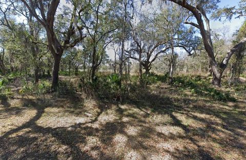 Tiny photo for 3310 S Canal Road, Inverness, FL 34450 (MLS # A4688396)