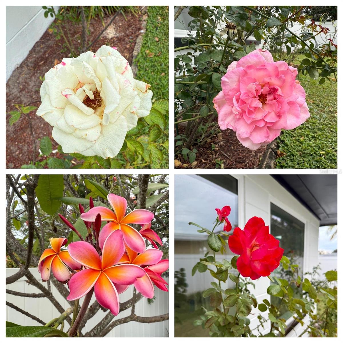 BAY RIDGE ESTATES 2ND ADD - Residential