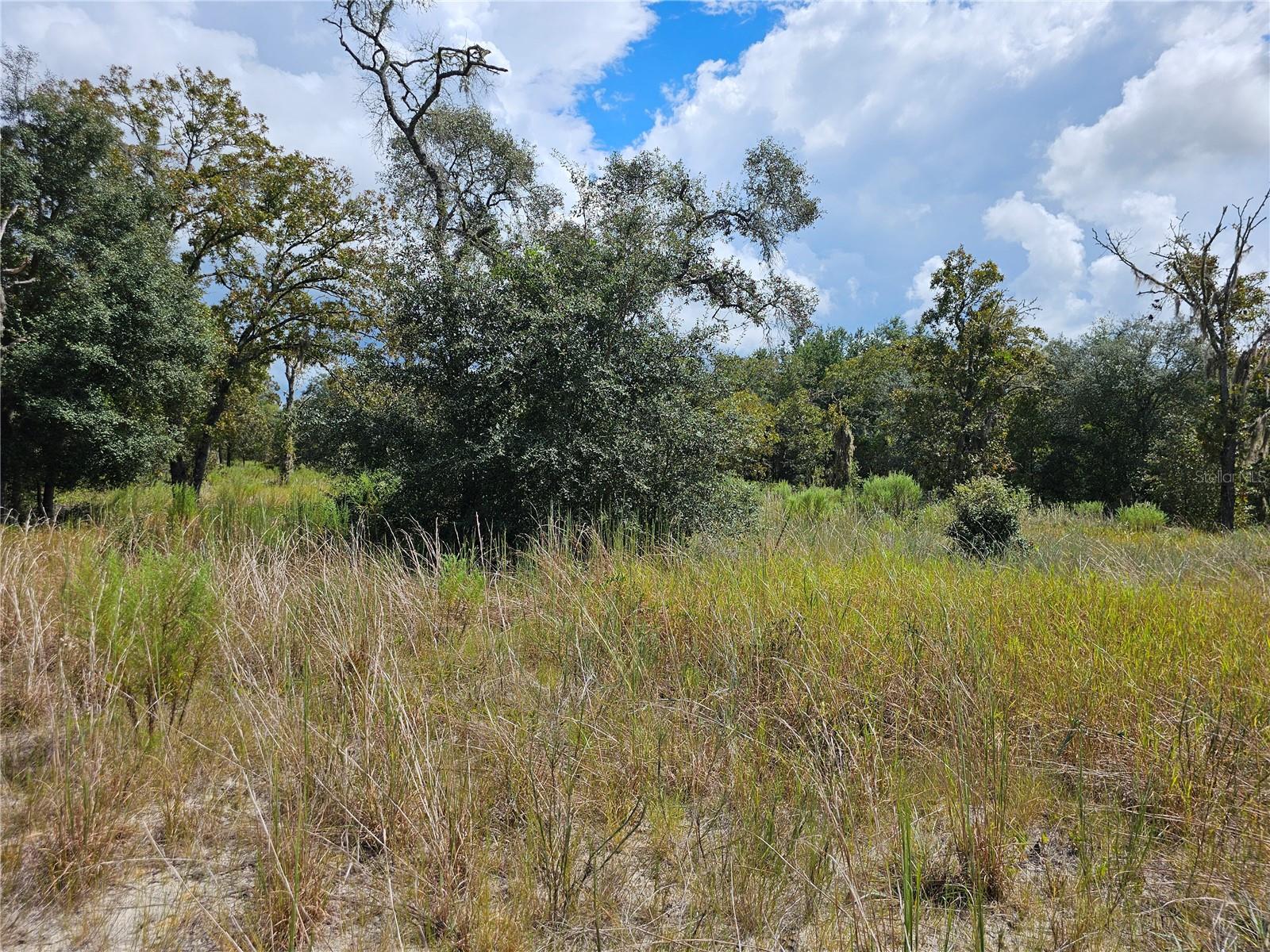 RAINBOW LAKES ESTATE - Land