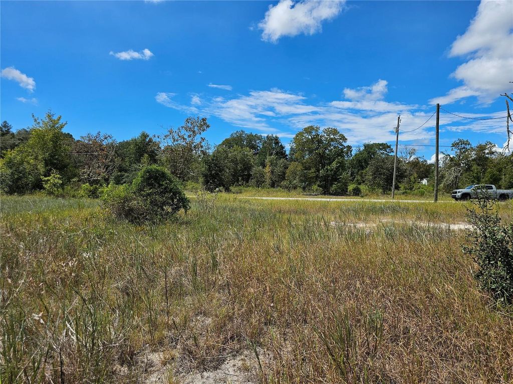 Photo of 4929 SW Portulaca Court, Dunnellon, FL 34431 (MLS # OM712156)