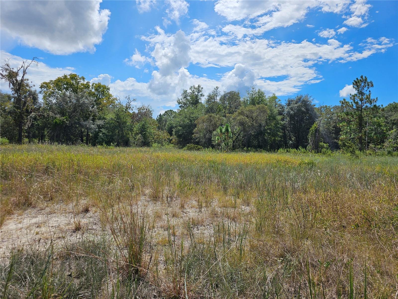 RAINBOW LAKES ESTATE - Land