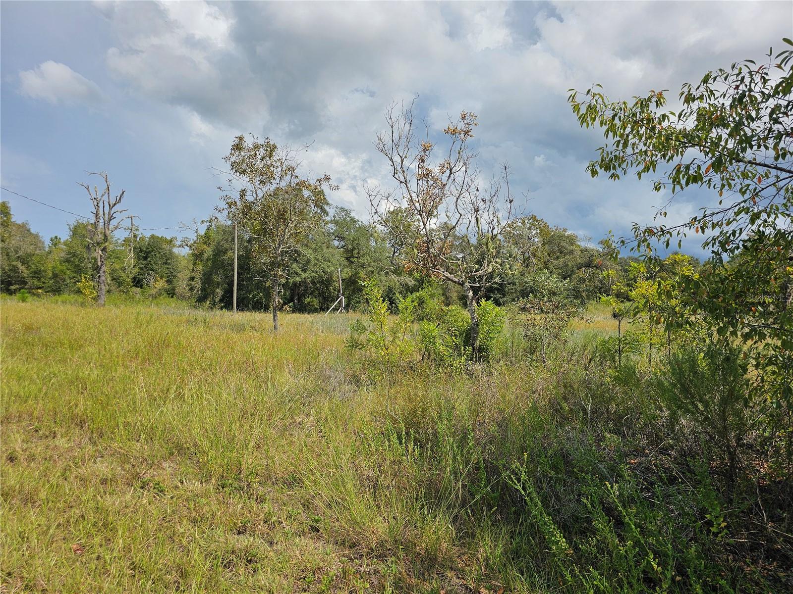 RAINBOW LAKES ESTATE - Land
