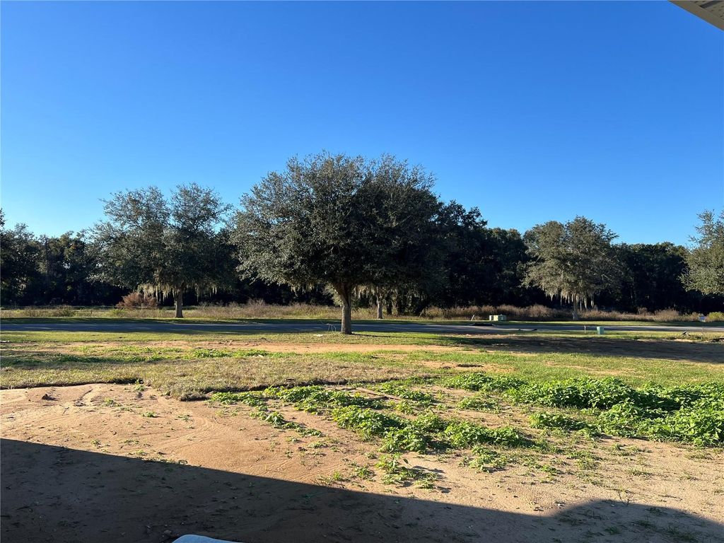 Photo of 37136 Hidden View Cir, Dade City, FL 33523 (MLS # TB8456350)