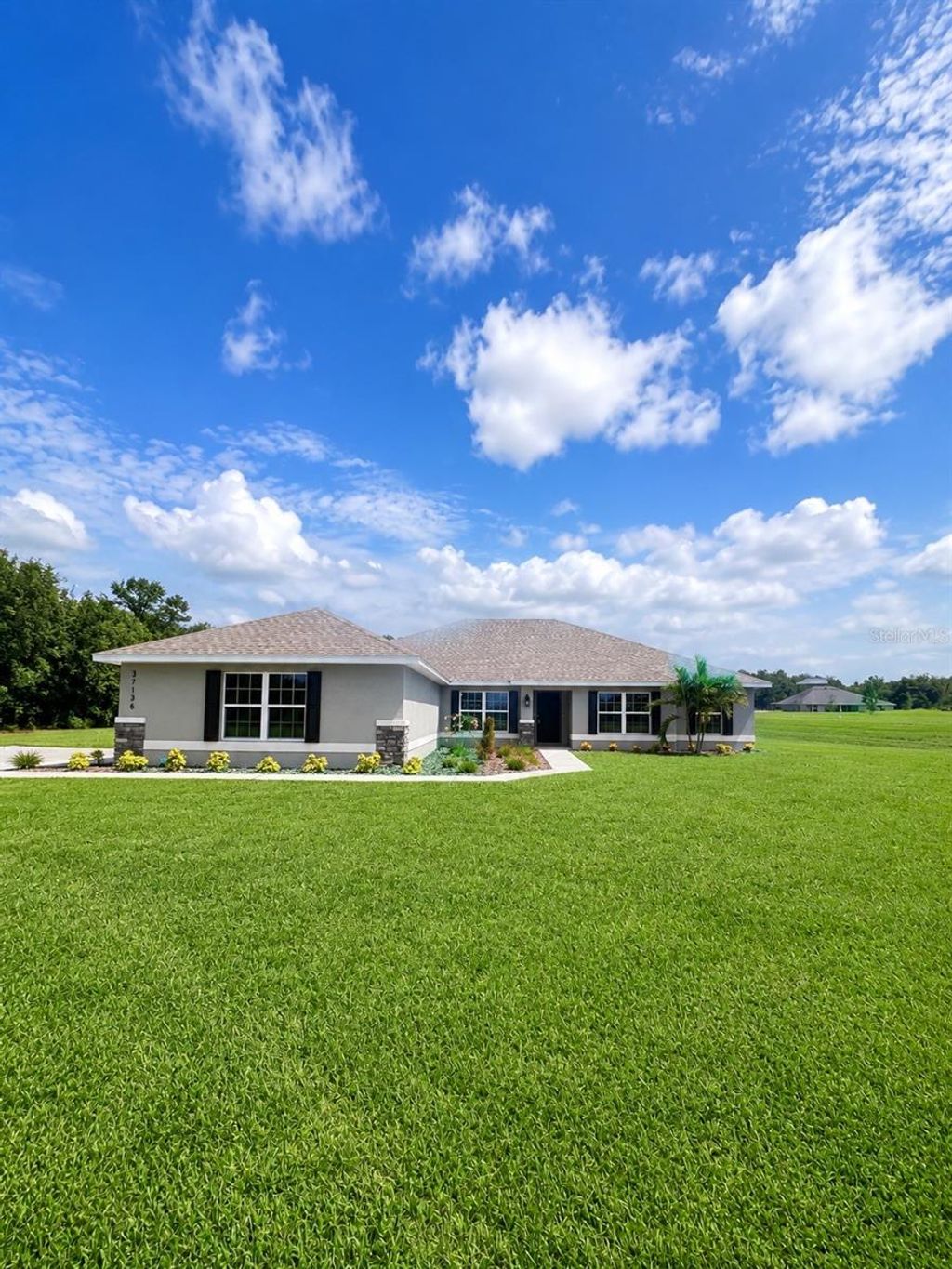 Photo of 37136 Hidden View Cir, Dade City, FL 33523 (MLS # TB8456350)