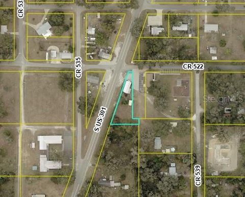 Tiny photo for 821 S Us 301, Summerville, FL 33585 (MLS # OM710265)