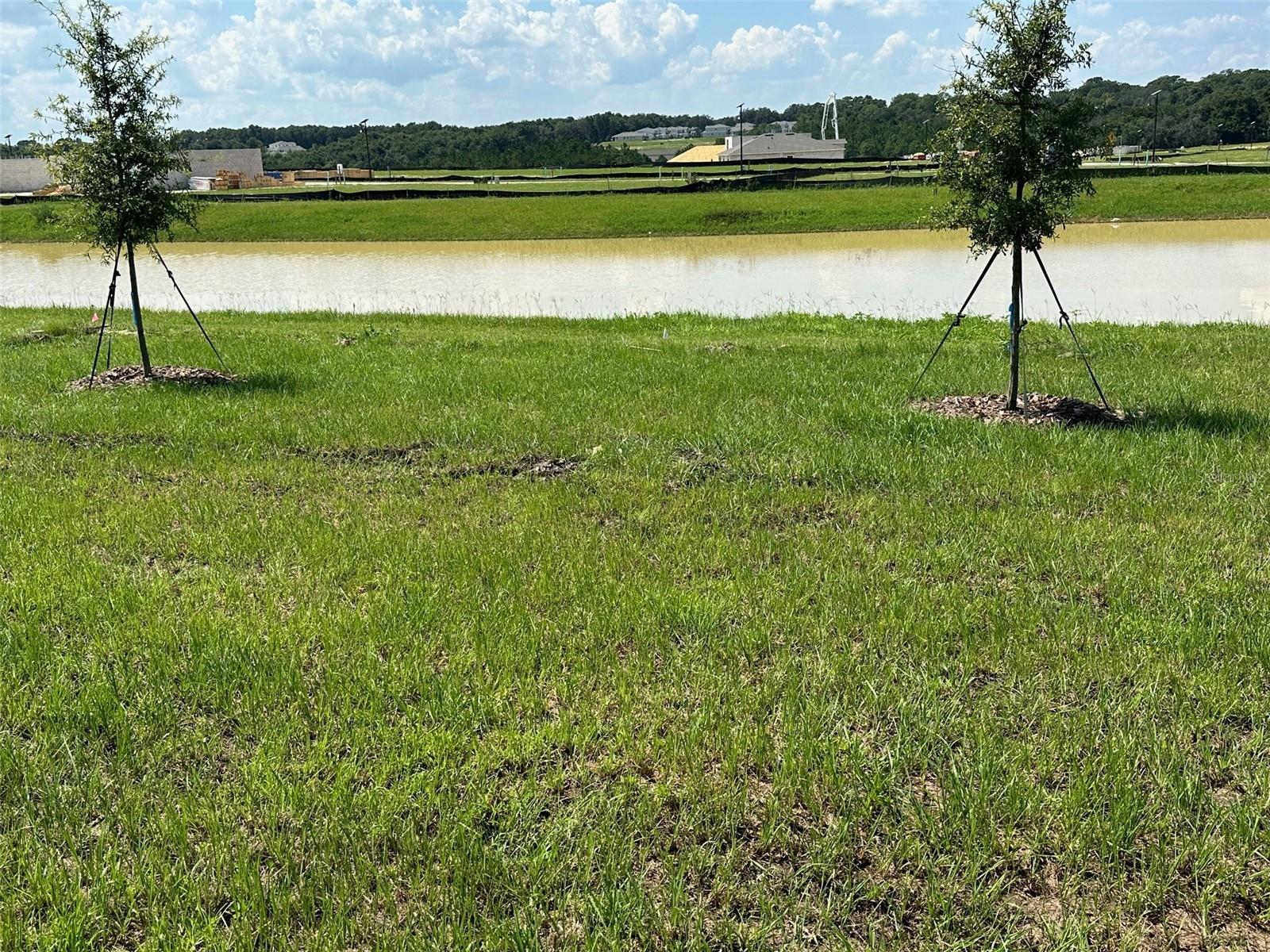 TIMBERWALK PH 3 - Residential Lease