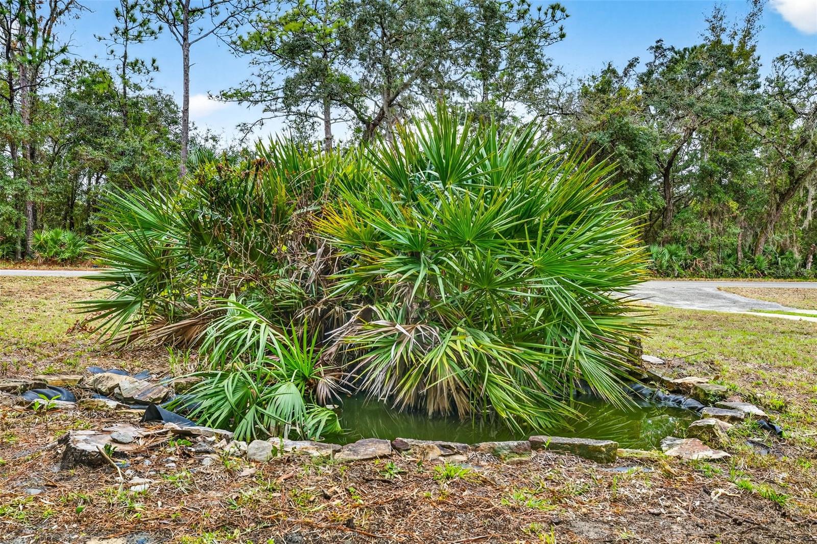 HOMOSASSA UNIT 10 - Residential