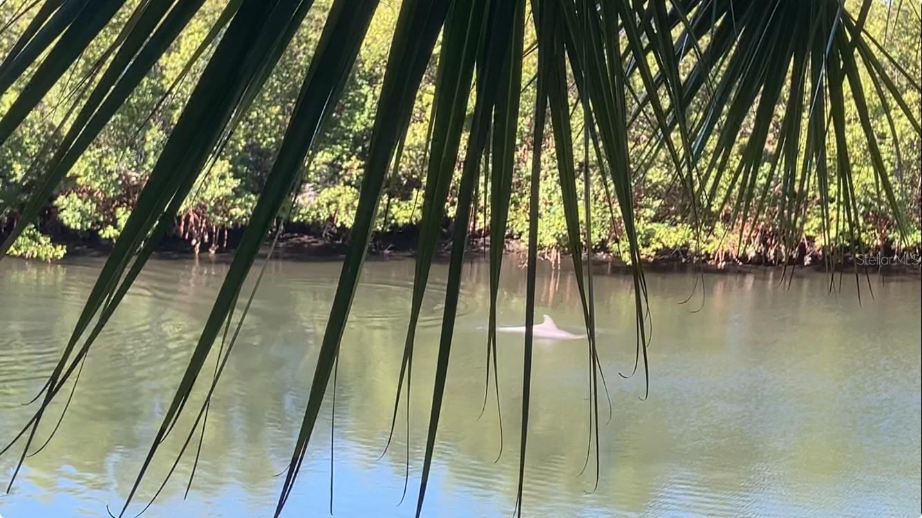 BAHIA BEACH TWNHMS PH 2 - Residential