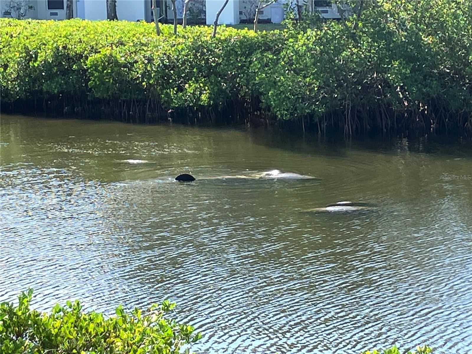 BAHIA BEACH TWNHMS PH 2 - Residential