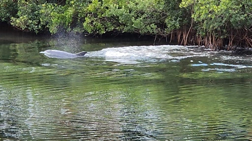 BAHIA BEACH TWNHMS PH 2 - Residential