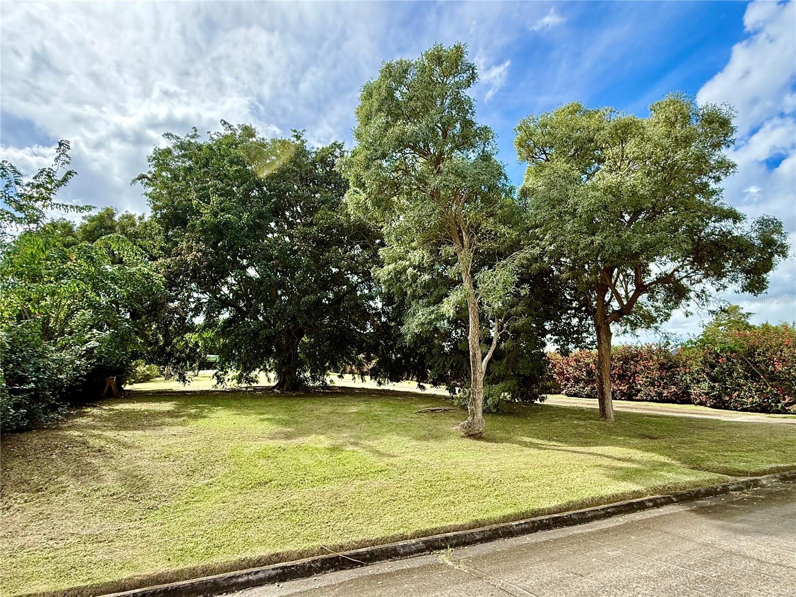 HACIENDA MARGARITA - Residential