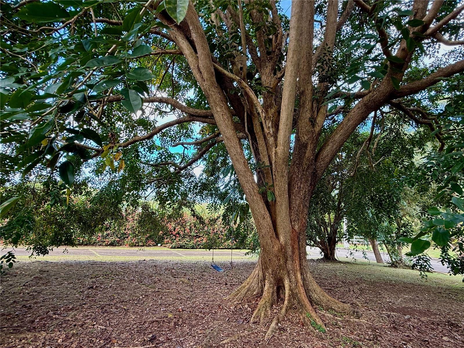 HACIENDA MARGARITA - Residential