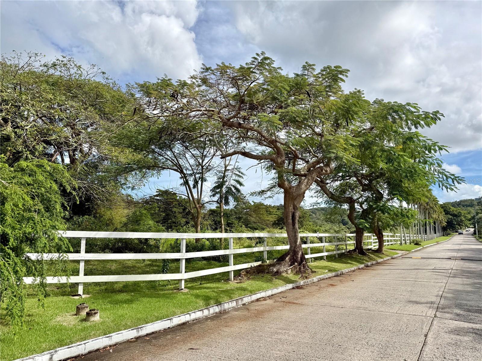 HACIENDA MARGARITA - Residential