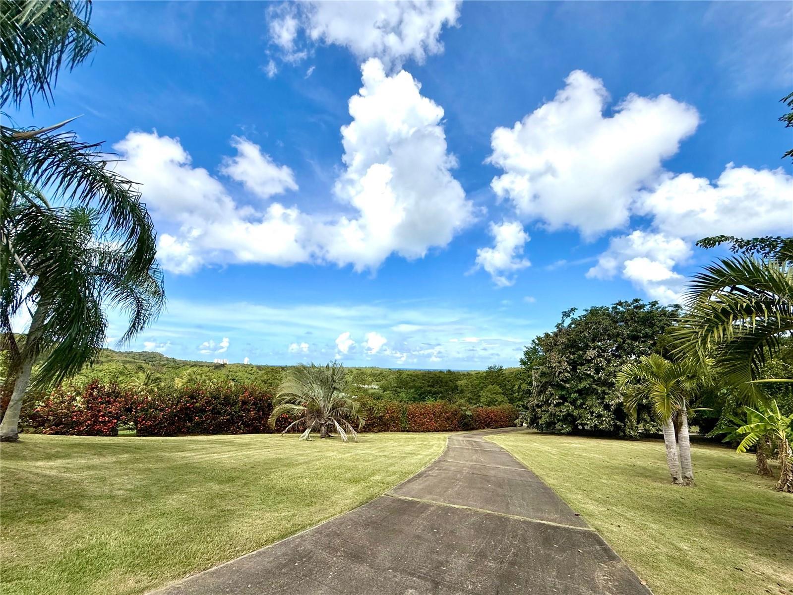 HACIENDA MARGARITA - Residential