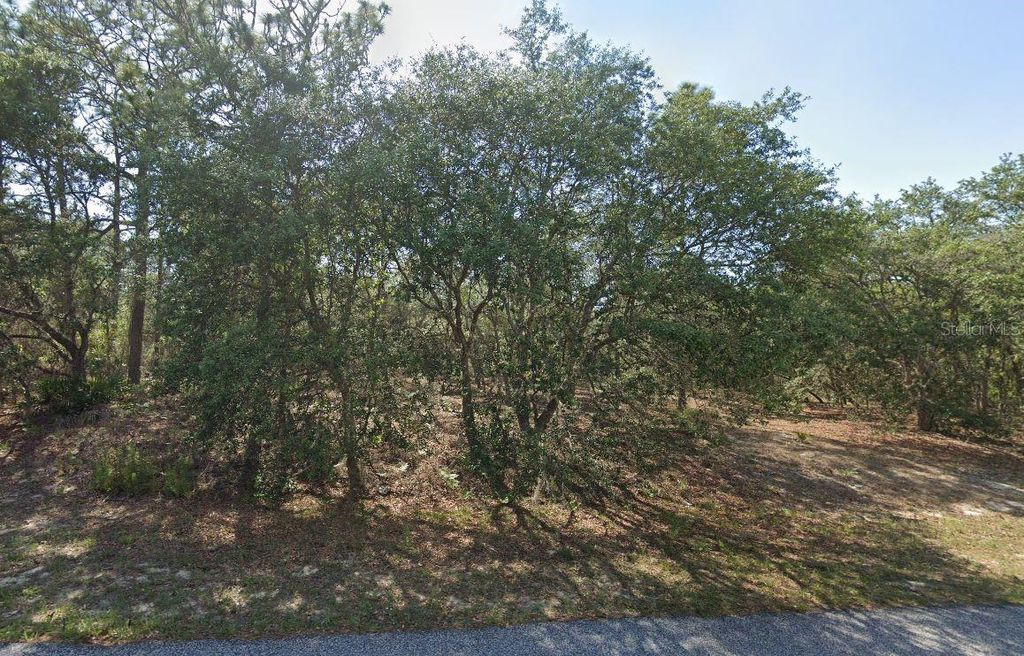 Photo of 6004 N Darlington Drive, Citrus Springs, FL 34434 (MLS # TB8469107)