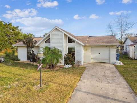 A home in HERNANDO BEACH