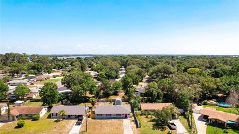 A home in MOUNT DORA