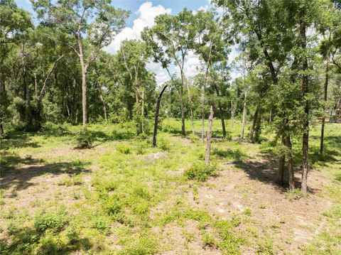 Tiny photo for 11341 NE 11th Way, Oxford, FL 34484 (MLS # G5098529)