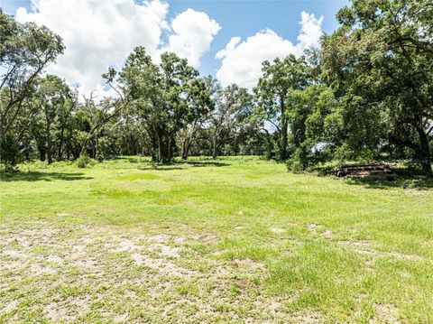 Tiny photo for 11341 NE 11th Way, Oxford, FL 34484 (MLS # G5098529)