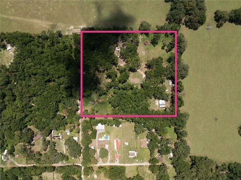 Tiny photo for 11341 NE 11th Way, Oxford, FL 34484 (MLS # G5098529)