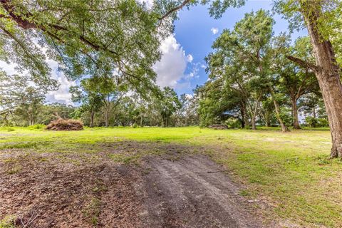 Tiny photo for 11341 NE 11th Way, Oxford, FL 34484 (MLS # G5098529)