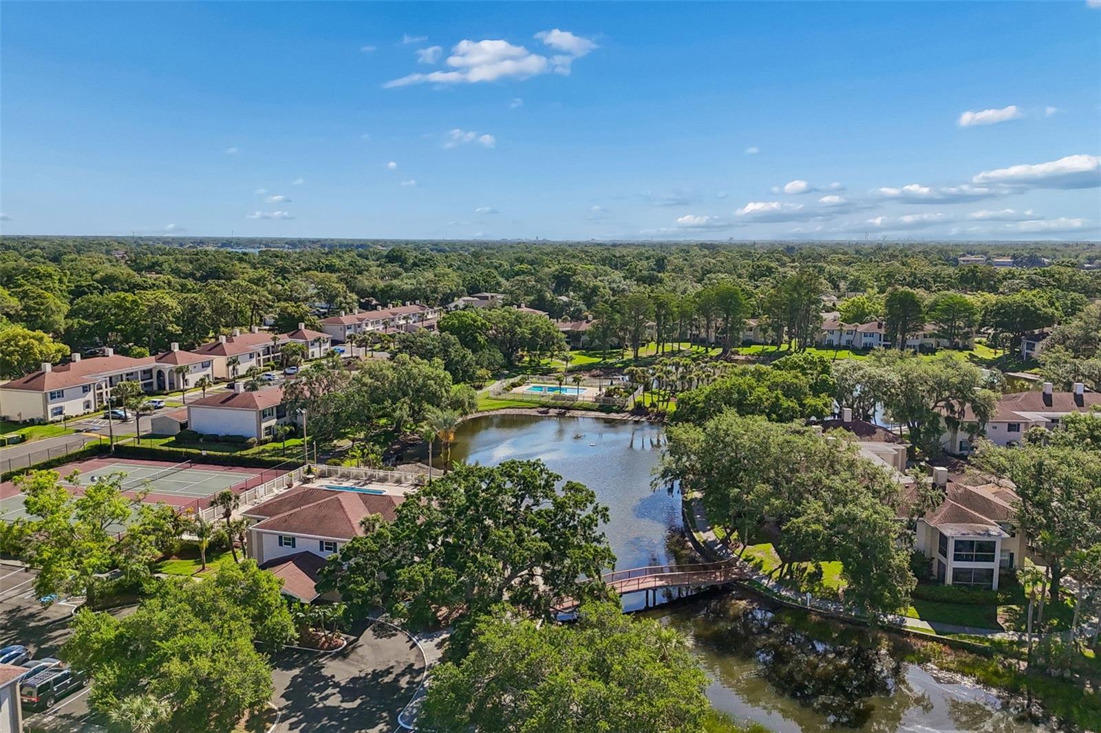 THE GRAND AT OLDE CARROLLWOOD - Residential