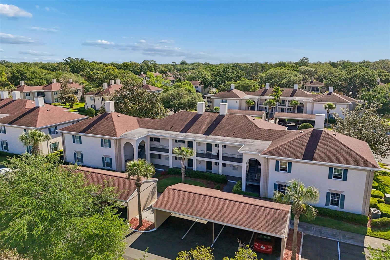 THE GRAND AT OLDE CARROLLWOOD - Residential