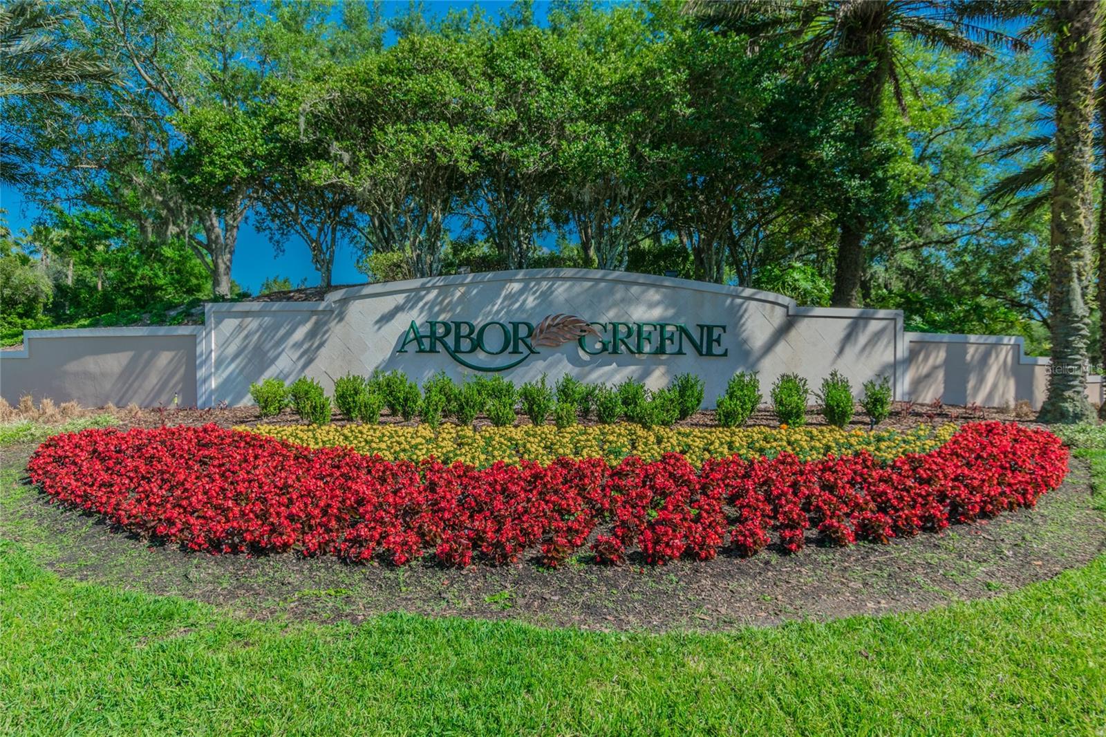 ARBOR GREENE TWNHMS REP - Residential