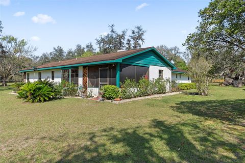 Photo of 3634 Apfel Road, Wesley Chapel, FL 33543 (MLS # O6289798)