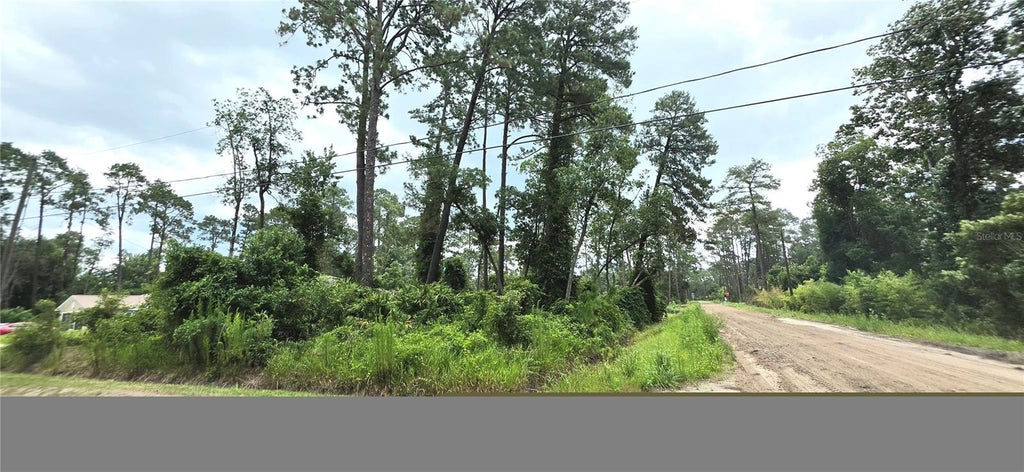 Photo of 10th Avenue, Deland, FL 32724 (MLS # V4950075)