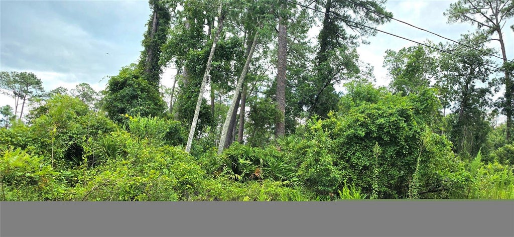 Photo of 10th Avenue, Deland, FL 32724 (MLS # V4950075)