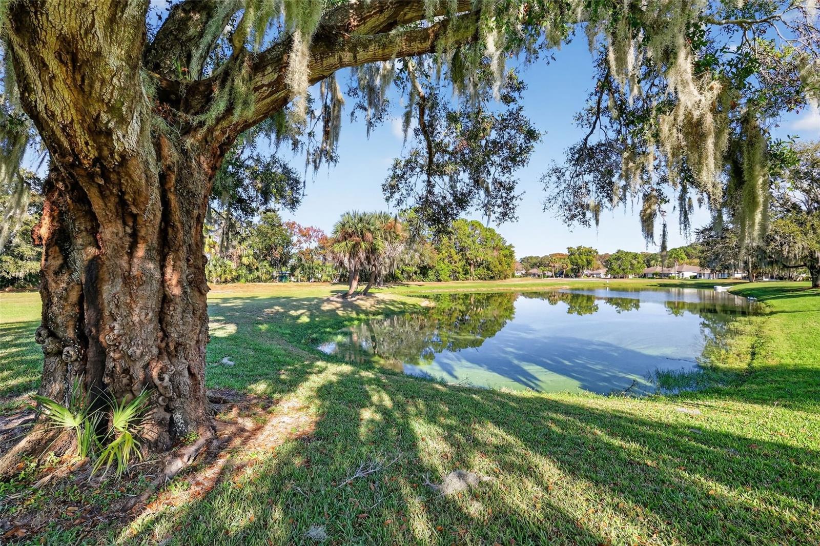 TAVARES BAYTREE PH III SUB - Residential