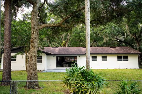 A home in ORLANDO