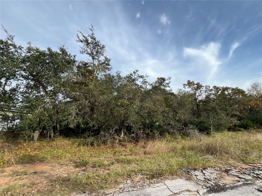 Vacant lot in beautiful Poinciana! This is a great opportunity to build your dream home in a growing community or secure a solid investment property for the future. Conveniently located just minutes away from shopping centers, schools, and hospitals. Don’t miss out on this prime lot in a rapidly developing area!