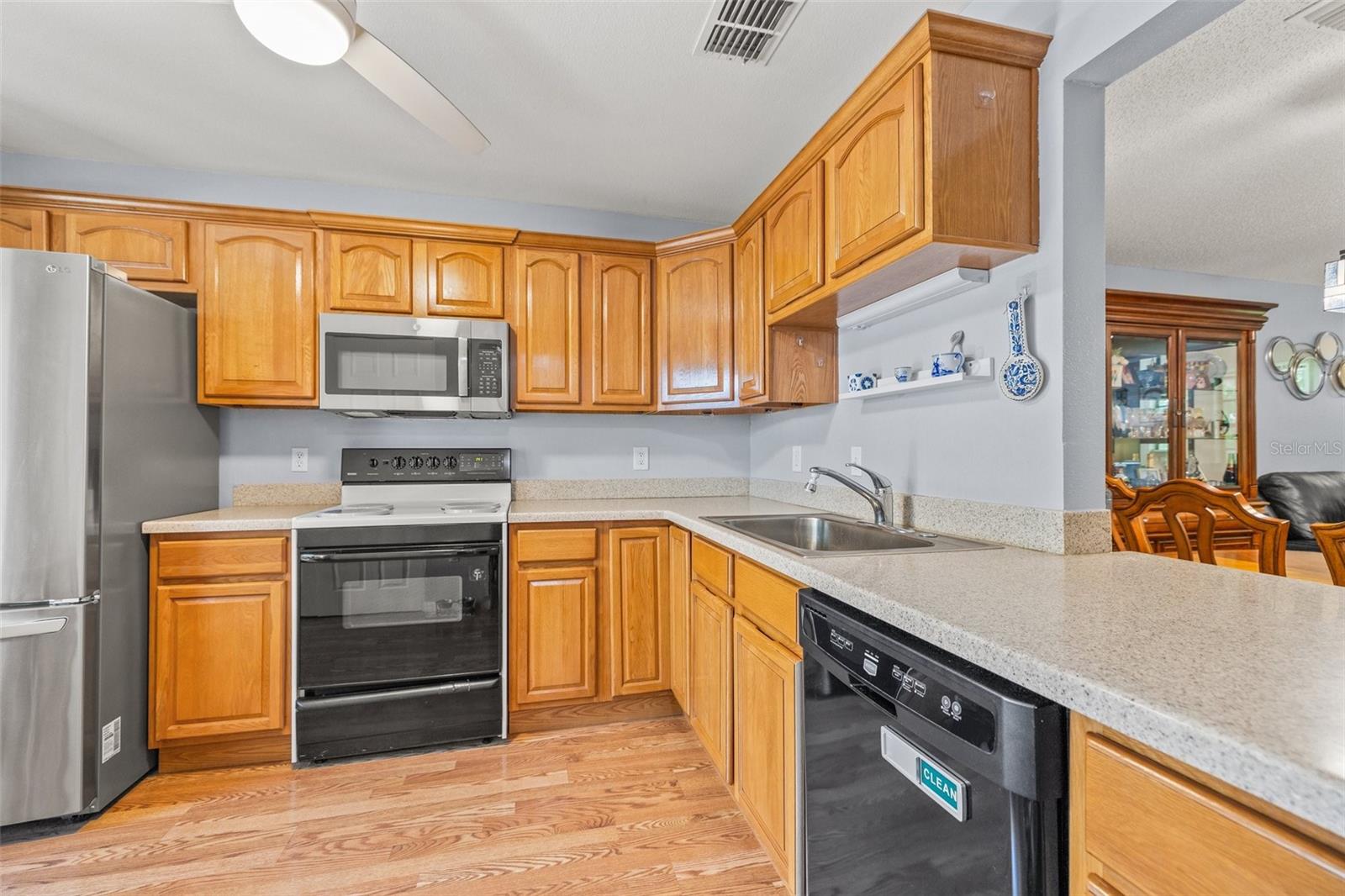 2919 FIG COURT