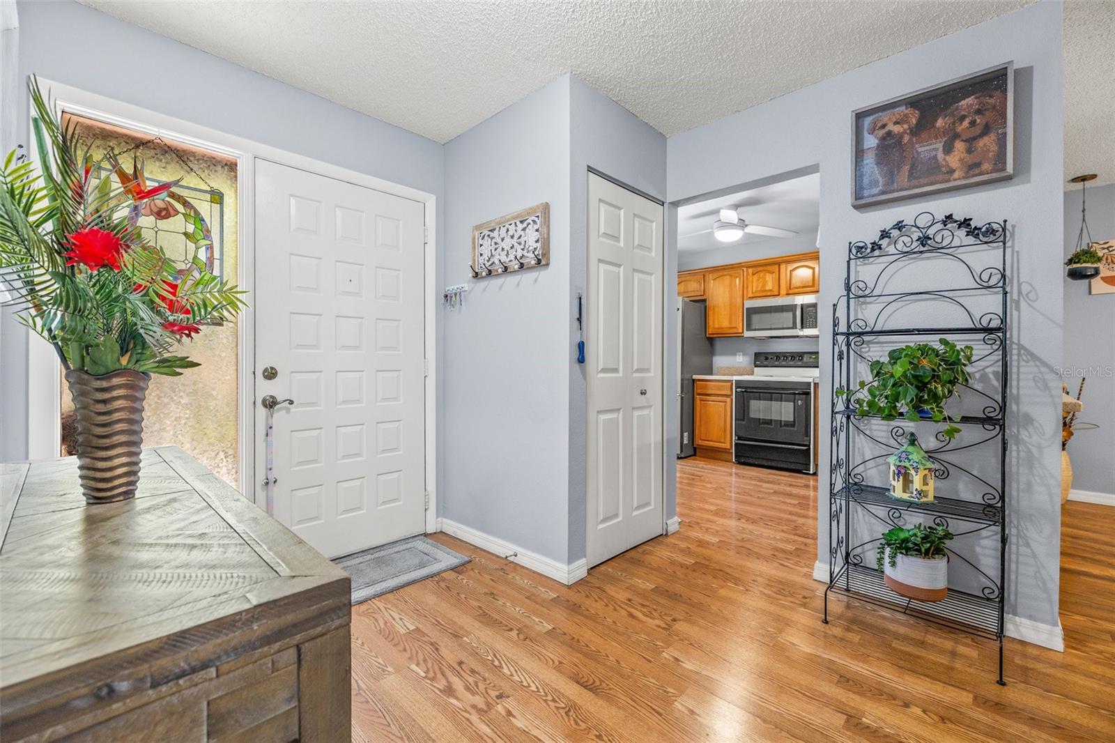2919 FIG COURT