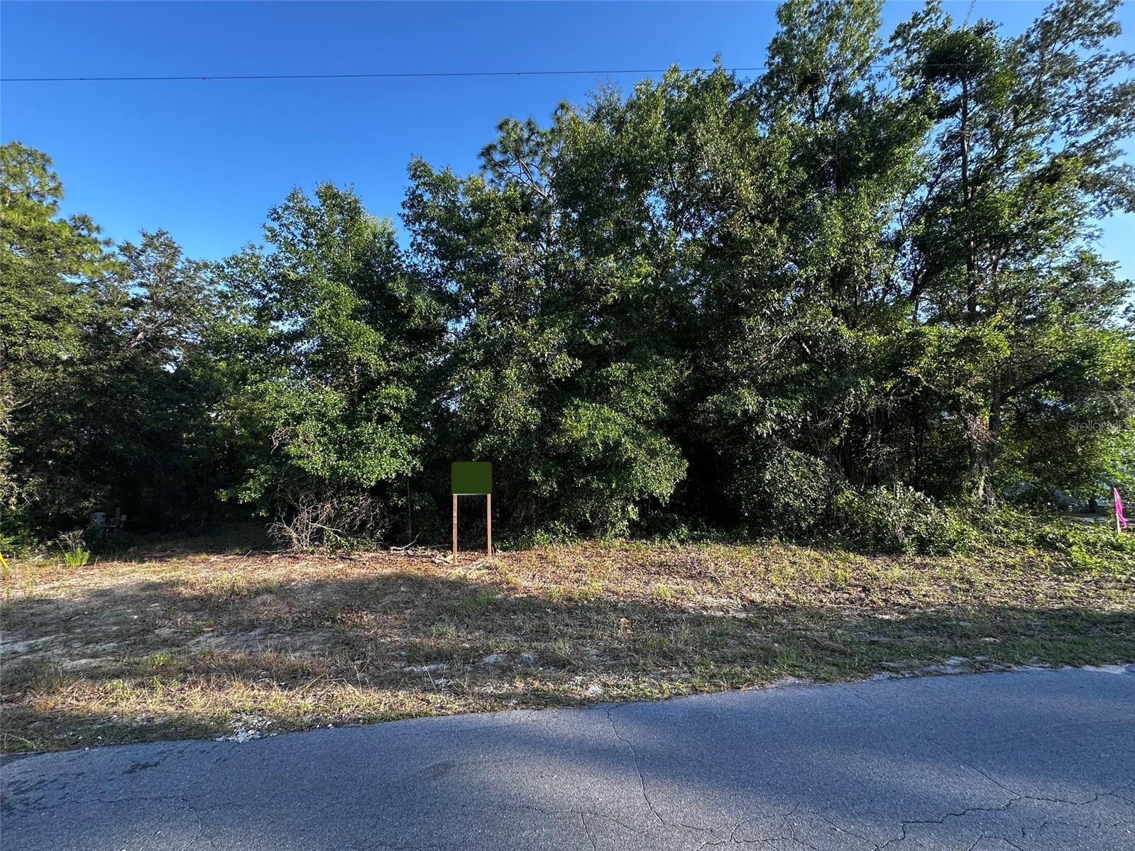 Peaceful charm of rural living, build your dream home in a tranquil setting. With plenty of space for privacy and outdoor activities, you'll enjoy the best of country living while still being within reach of nearby amenities. The lot is 7 minutes away from downtown Williston, 40 minutes from Gainesville and 35 minutes from Ocala. The lot is also very close to the Goethe State Forest. The lot is on paved road, and you will have neighbors and access in the future to golf course right across the street.