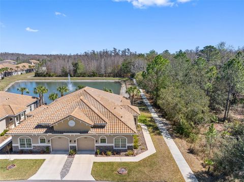 Photo of 29800 Anand Vihar Drive, Wesley Chapel, FL 33543 (MLS # TB8482025)