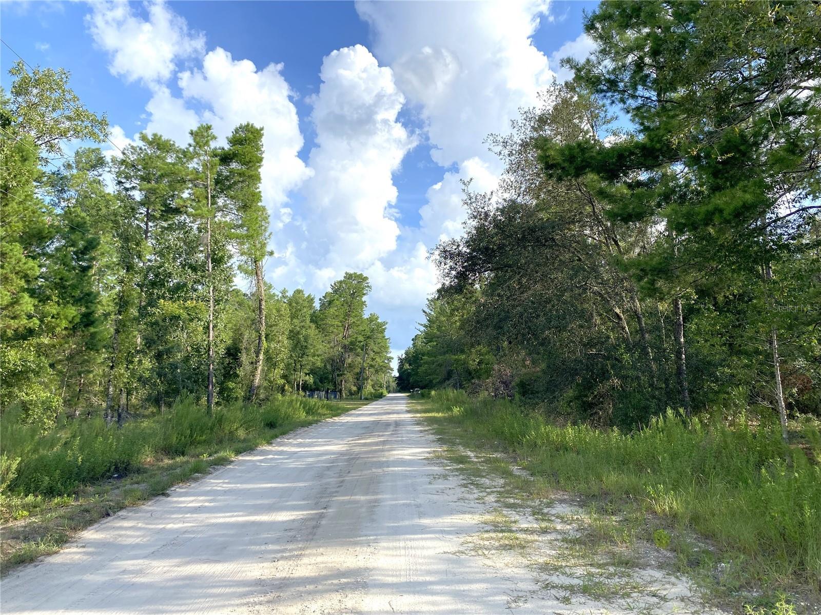 2 ACRES of Vacant Land. NO HOA. Manufactured Home or Site Built House can be on this property. There are TWO separate lots that are being sold together. Gainesville or Chiefland is 30 minutes away. They have Shopping, Restaurants, Hospitals, Colleges, etc. HITS Showground is 20-minute drive. World Equestrian Center is 35 minutes towards Ocala. Black Prong/ Goethe State Forest is 20 minutes away.