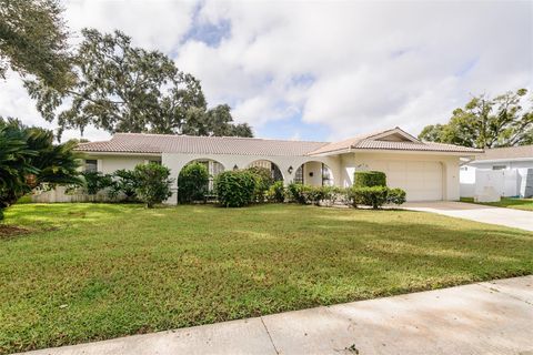 1101 MCFARLAND STREET DUNEDIN FL 34698