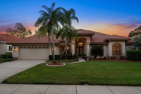 4944 SILVERTHORNE COURT OLDSMAR FL 34677