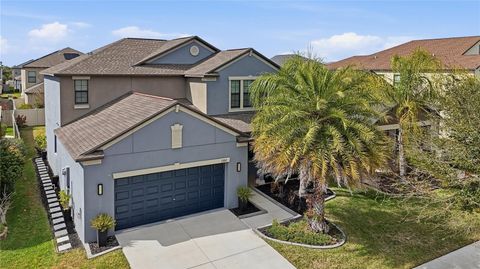 13917 ROSEATE TERN LANE RIVERVIEW FL 33579