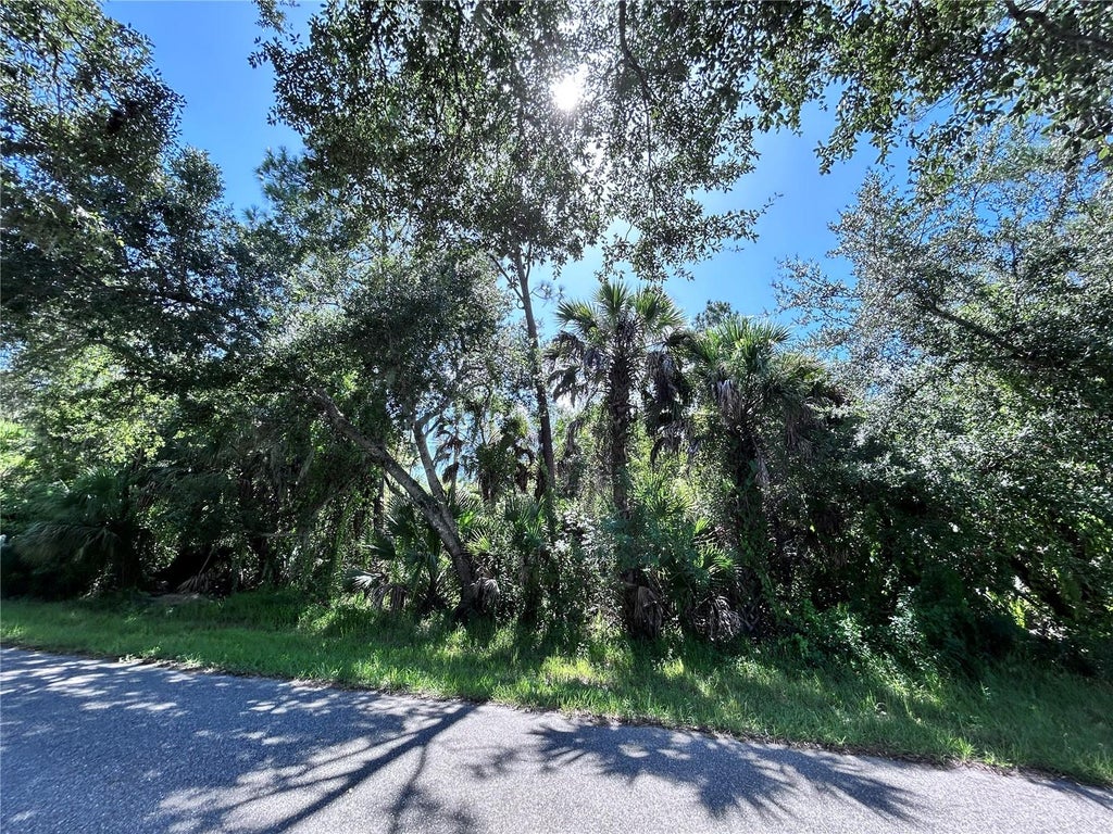 Photo of 211 Swift Street, Port Charlotte, FL 33954 (MLS # C7529875)