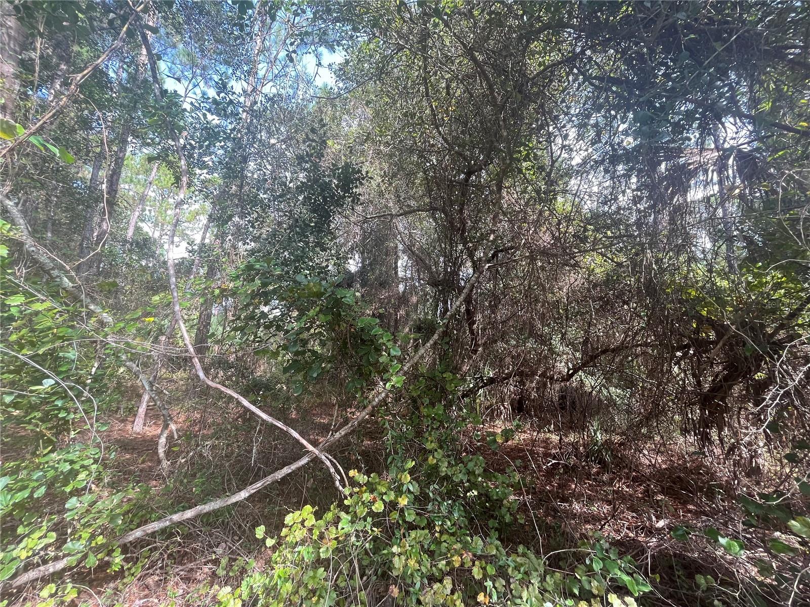 PARADISE LAKES SUB - Land