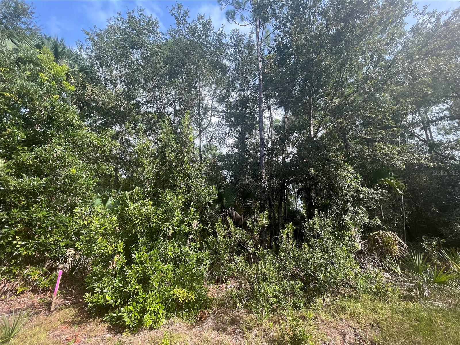 PARADISE LAKES SUB - Land