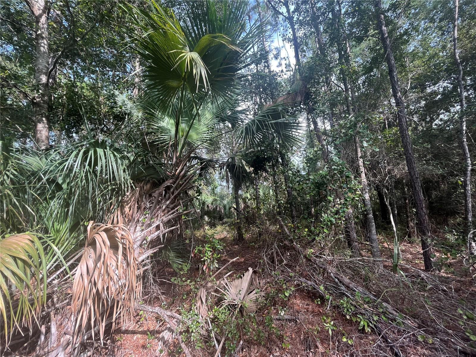 PARADISE LAKES SUB - Land