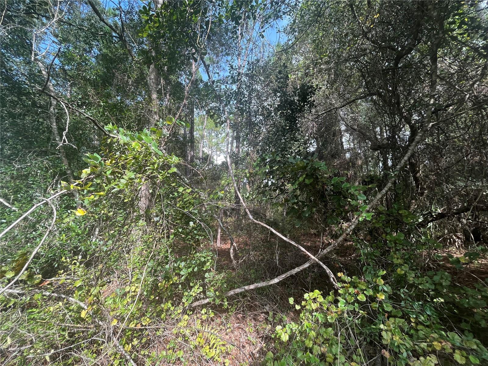 PARADISE LAKES SUB - Land